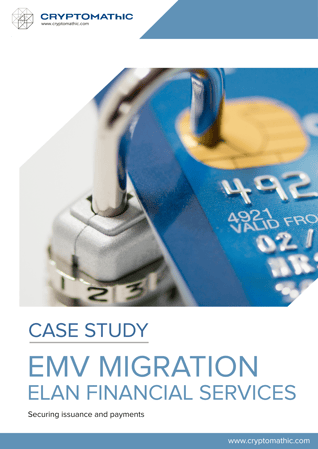 11 csg_case_study_-_EMVelan-financial-services