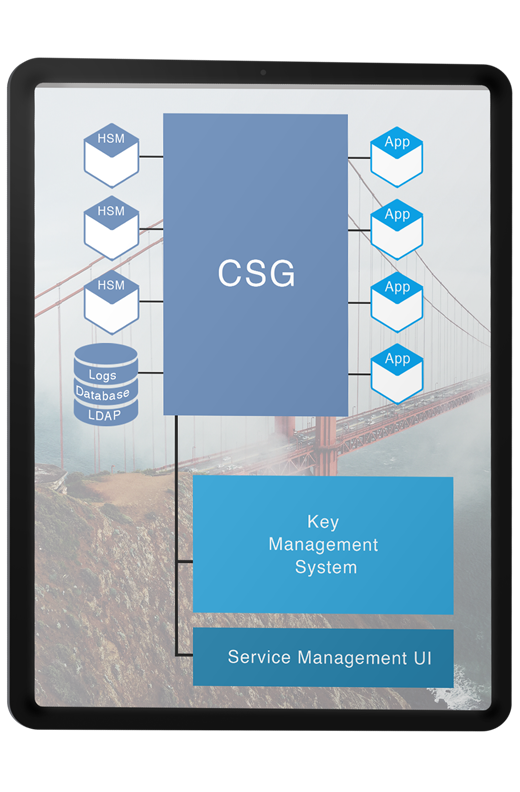 CKMS and CSG
