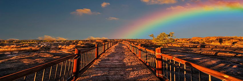 Crypto-Agility: The Real Gold (Standard) at the End of the Rainbow